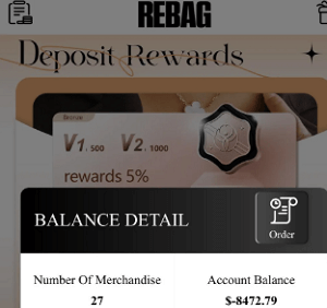 Rebagplus.club Review | Scam or Safe