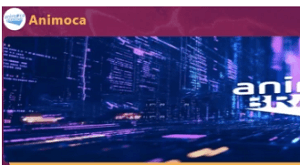 Animocavip Review | Scam or Safe