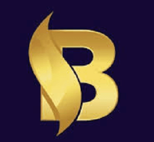 CoinblockMax Review | Scam or Safe