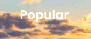 Prominerbtc.top Review | Scam or Safe