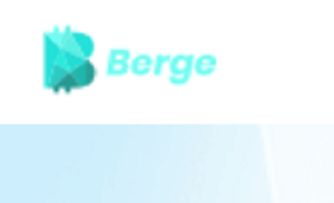 Berge.ink Review | Scam or Safe