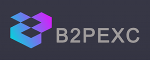 B2pmax Review | Scam or Safe