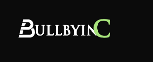 Bullbyinc.com Review | Scam or Safe