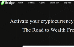 Ucbridge.com Review | Scam or Safe