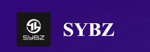 Sybzs Review | Scam or Safe
