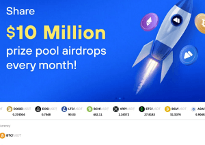 Coinbtch.com Review | Scam or Safe