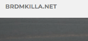 Brdmkilla Review | Scam or Safe